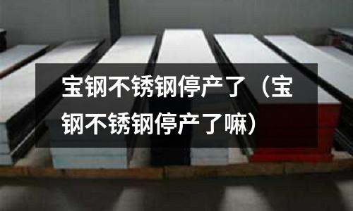 寶鋼不銹鋼停產(chǎn)了(寶鋼不銹鋼停產(chǎn)了嘛)