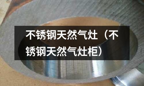 不銹鋼天然氣灶（不銹鋼天然氣灶柜）