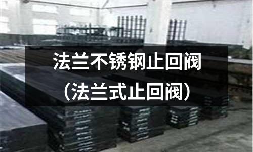 法蘭不銹鋼止回閥(法蘭式止回閥)