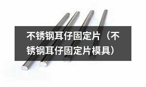 不銹鋼耳仔固定片(不銹鋼耳仔固定片模具)