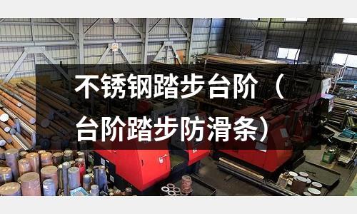 不銹鋼踏步臺階(臺階踏步防滑條)