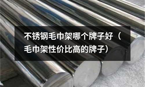 不銹鋼毛巾架哪個牌子好(毛巾架性價比高的牌子)