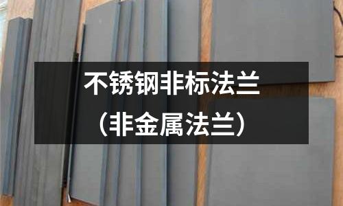 不銹鋼非標(biāo)法蘭(非金屬法蘭)