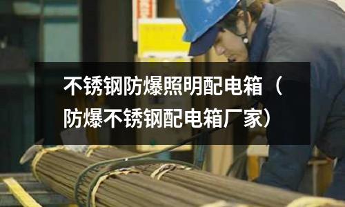 不銹鋼防爆照明配電箱(防爆不銹鋼配電箱廠家)