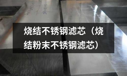 燒結不銹鋼濾芯(燒結粉末不銹鋼濾芯)