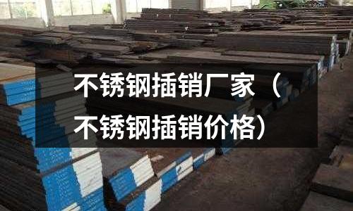 不銹鋼插銷廠家(不銹鋼插銷價格)