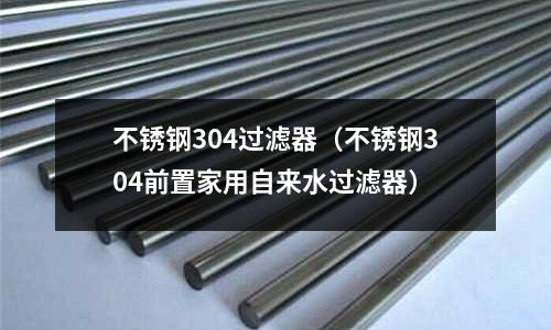 不銹鋼304過濾器(不銹鋼304前置家用自來水過濾器)