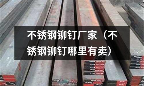 不銹鋼鉚釘廠家(不銹鋼鉚釘哪里有賣)