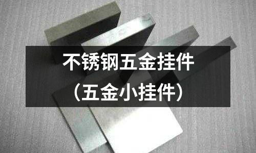 不銹鋼五金掛件(五金小掛件)