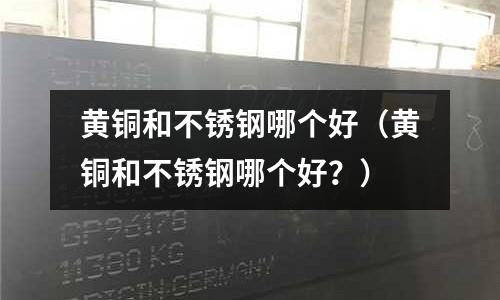 黃銅和不銹鋼哪個好（黃銅和不銹鋼哪個好？）