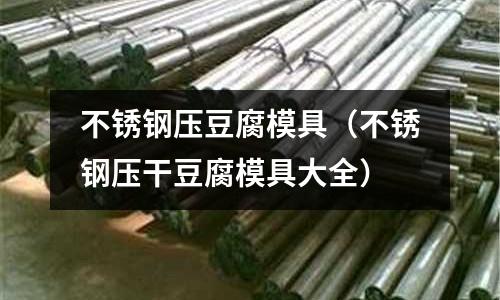 不銹鋼壓豆腐模具(不銹鋼壓干豆腐模具大全)