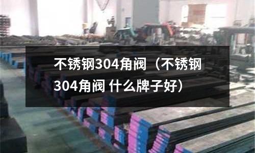 不銹鋼304角閥(不銹鋼304角閥 什么牌子好)