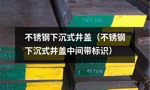 不銹鋼下沉式井蓋(不銹鋼下沉式井蓋中間帶標識)