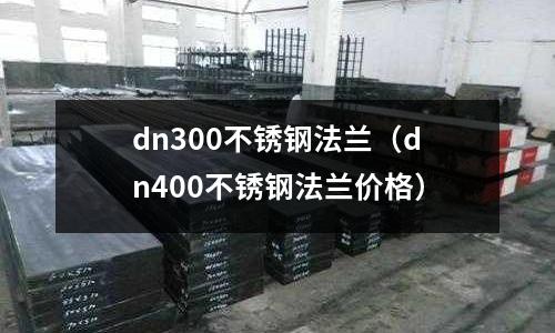dn300不銹鋼法蘭(dn400不銹鋼法蘭價格)