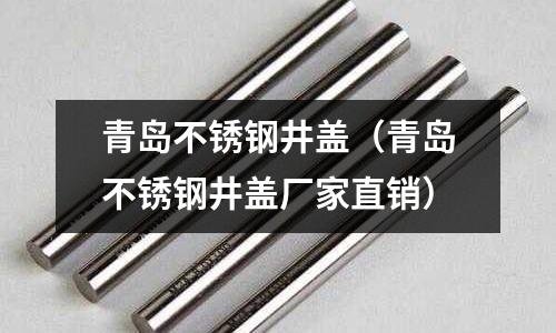青島不銹鋼井蓋(青島不銹鋼井蓋廠家直銷)