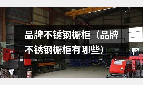 品牌不銹鋼櫥柜(品牌不銹鋼櫥柜有哪些)