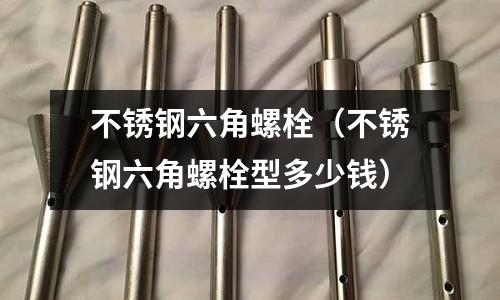 不銹鋼六角螺栓（不銹鋼六角螺栓型多少錢）