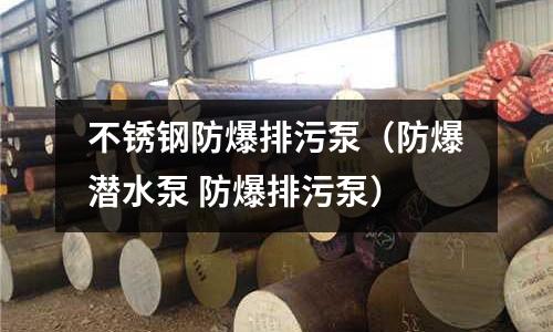 不銹鋼防爆排污泵(防爆潛水泵 防爆排污泵)