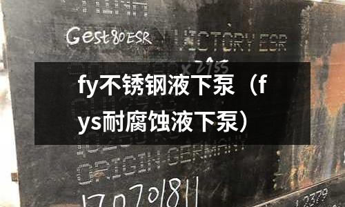 fy不銹鋼液下泵(fys耐腐蝕液下泵)
