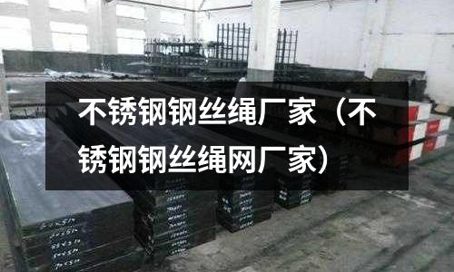不銹鋼鋼絲繩廠家(不銹鋼鋼絲繩網廠家)