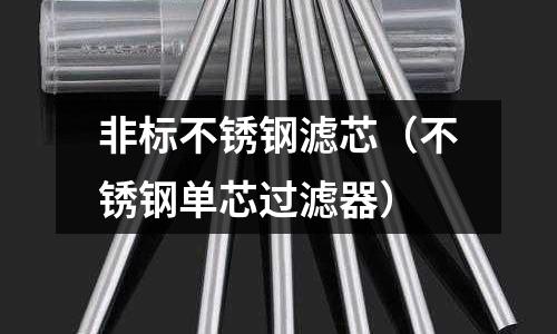 非標不銹鋼濾芯(不銹鋼單芯過濾器)