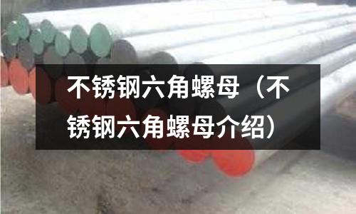 不銹鋼六角螺母(不銹鋼六角螺母介紹)