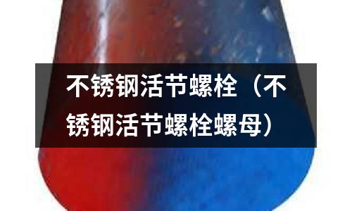 不銹鋼活節螺栓(不銹鋼活節螺栓螺母)