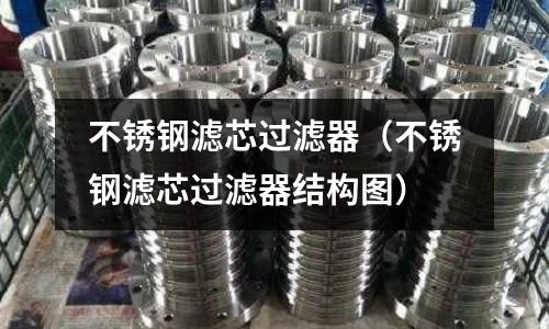 不銹鋼濾芯過濾器(不銹鋼濾芯過濾器結構圖)