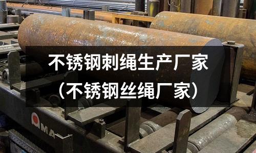 不銹鋼刺繩生產廠家（不銹鋼絲繩廠家）