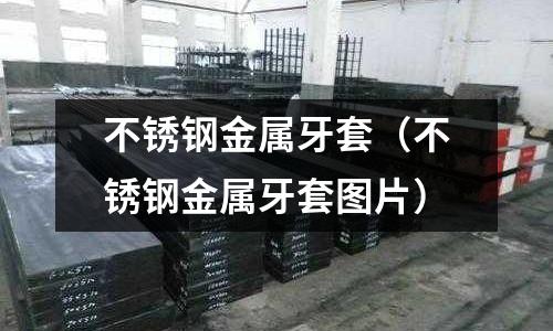 不銹鋼金屬牙套(不銹鋼金屬牙套圖片)