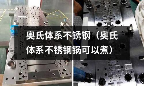 奧氏體系不銹鋼(奧氏體系不銹鋼鍋可以煮)