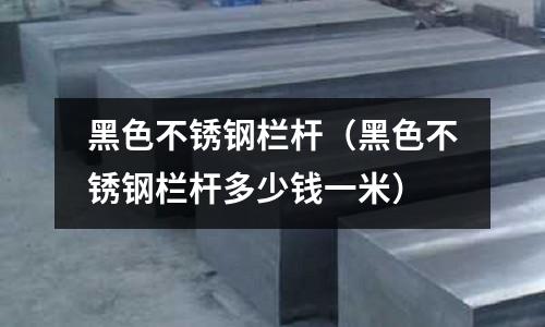 黑色不銹鋼欄桿(黑色不銹鋼欄桿多少錢一米)