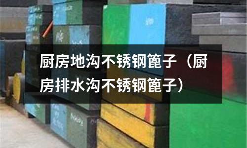 廚房地溝不銹鋼篦子(廚房排水溝不銹鋼篦子)