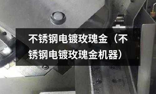 不銹鋼電鍍玫瑰金(不銹鋼電鍍玫瑰金機(jī)器)