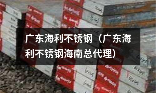 廣東海利不銹鋼(廣東海利不銹鋼海南總代理)