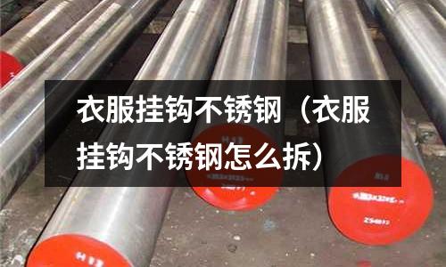衣服掛鉤不銹鋼(衣服掛鉤不銹鋼怎么拆)