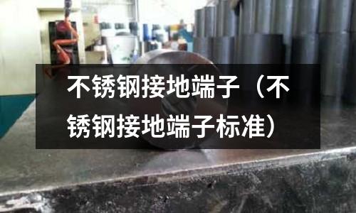 不銹鋼接地端子（不銹鋼接地端子標準）
