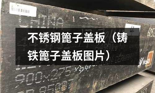 不銹鋼篦子蓋板（鑄鐵篦子蓋板圖片）