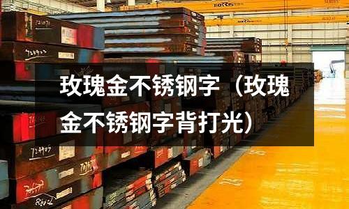 玫瑰金不銹鋼字（玫瑰金不銹鋼字背打光）