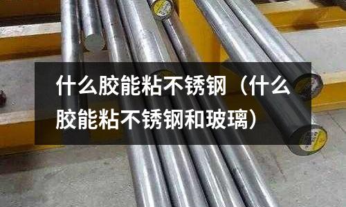 什么膠能粘不銹鋼(什么膠能粘不銹鋼和玻璃)