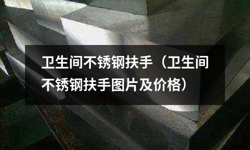 衛生間不銹鋼扶手(衛生間不銹鋼扶手圖片及價格)