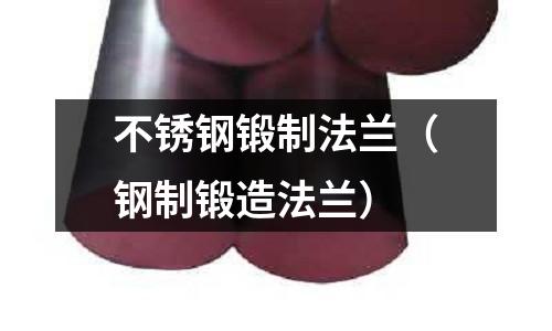 不銹鋼鍛制法蘭(鋼制鍛造法蘭)