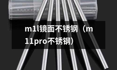 m1l鏡面不銹鋼(m11pro不銹鋼)