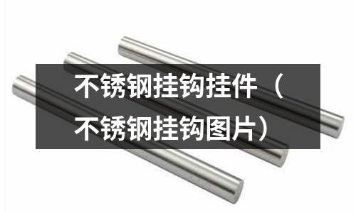 不銹鋼掛鉤掛件（不銹鋼掛鉤圖片）