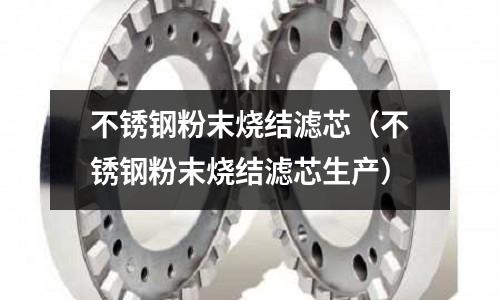 不銹鋼粉末燒結(jié)濾芯(不銹鋼粉末燒結(jié)濾芯生產(chǎn))