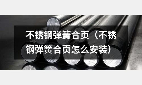 不銹鋼彈簧合頁(不銹鋼彈簧合頁怎么安裝)