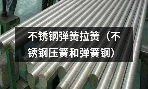 不銹鋼彈簧拉簧(不銹鋼壓簧和彈簧鋼)