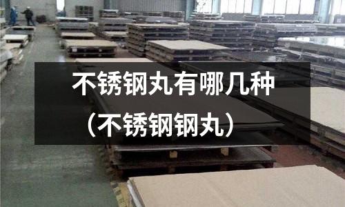 不銹鋼丸有哪幾種(不銹鋼鋼丸)