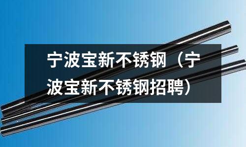 寧波寶新不銹鋼(寧波寶新不銹鋼招聘)