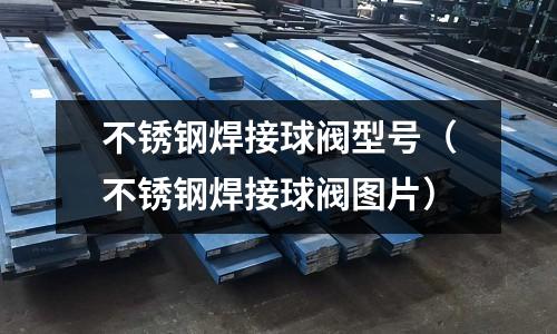 不銹鋼焊接球閥型號(不銹鋼焊接球閥圖片)